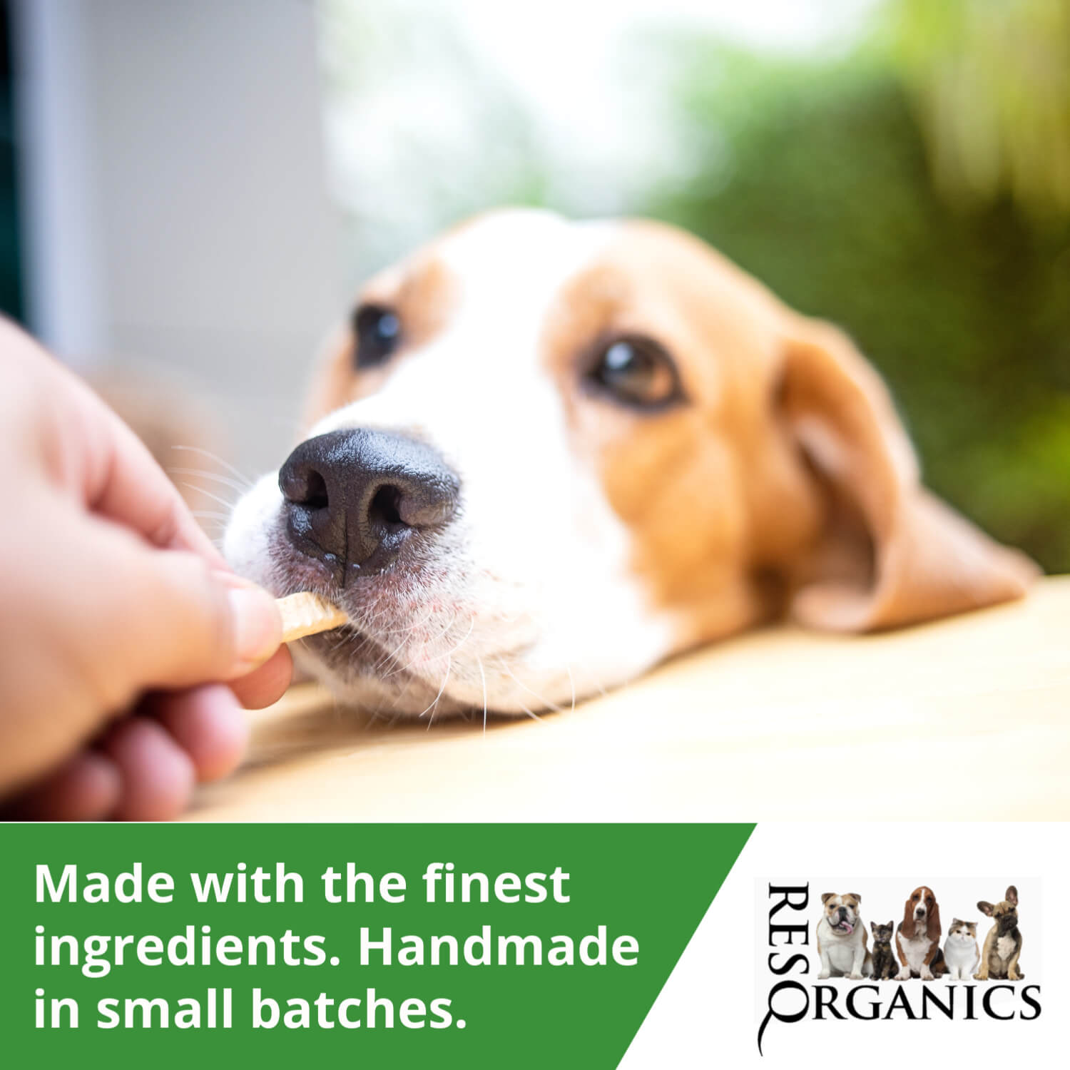 Pet Approved Delicious Natural Diabetic Dog Treats