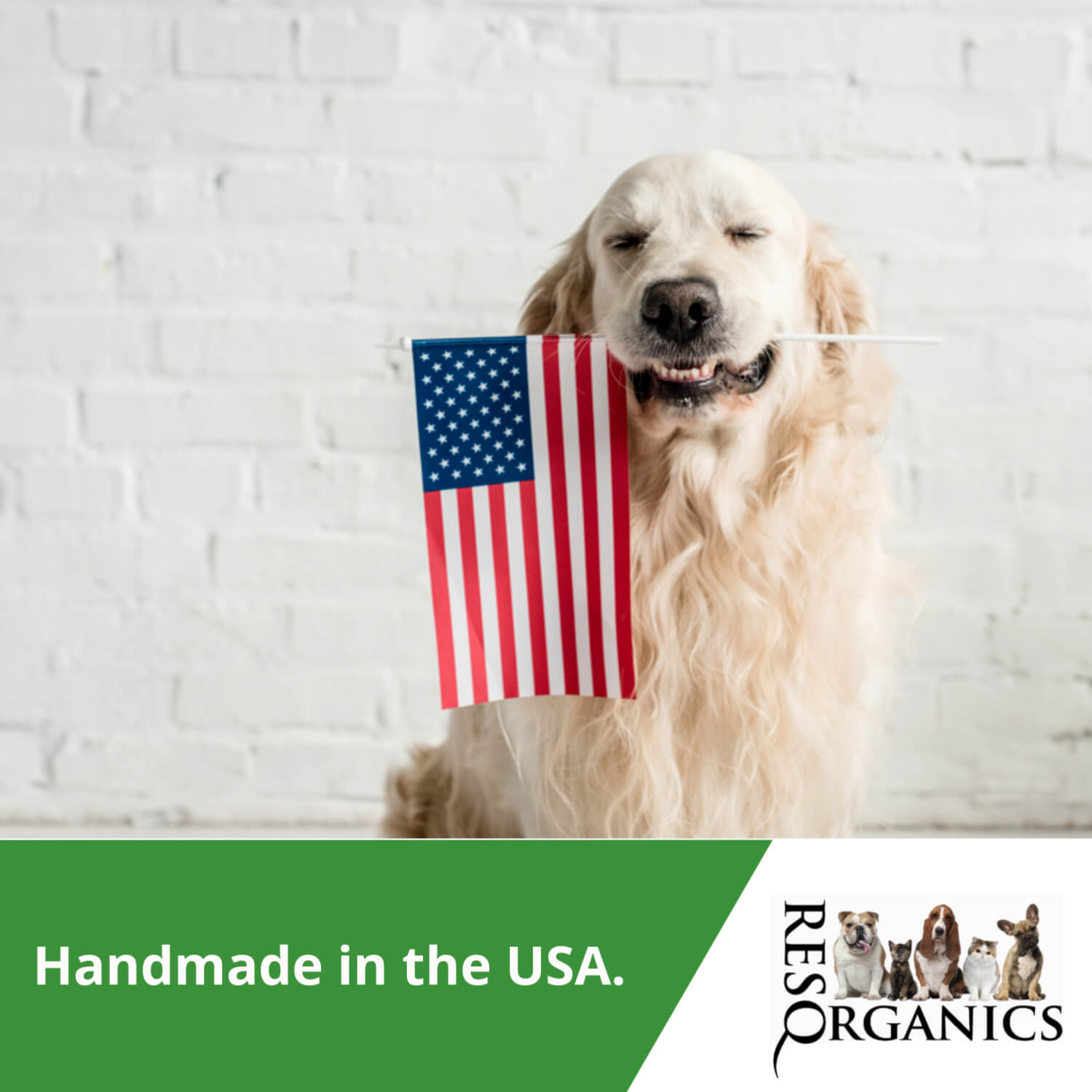 *NEW* CBD-Infused Organic Dog Treats - Image 3
